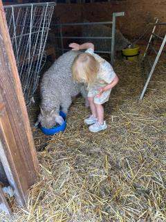 The Old Milking Parlour - 4