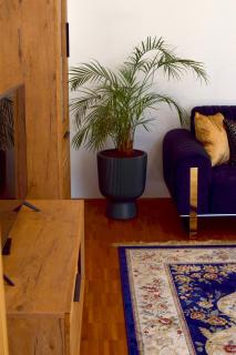 Boutique Apartment LIMONIA - Historic Heart of Ulm - Ulm - 4