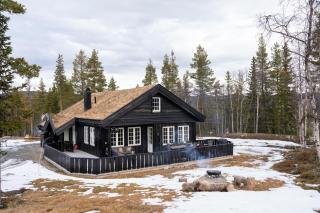 Nesfjellet - 1
