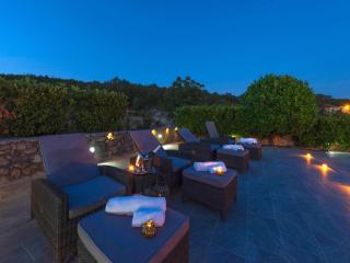 Villa in Ugljane with private pool - Ugljane - 7