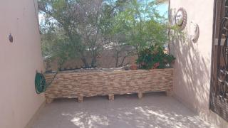 Alojamiento OLSI - Torreón - 7