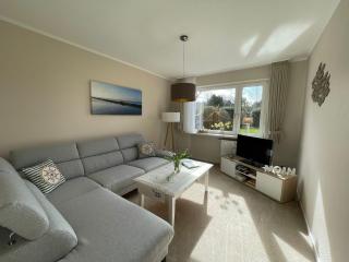 Haus-Seeschwalbe - 0
