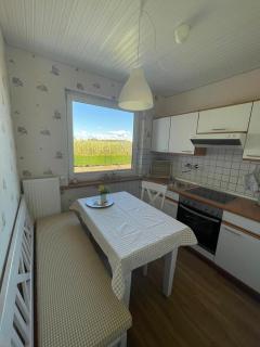 Haus-Seeschwalbe - 7