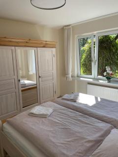 Haus-Seeschwalbe - 6