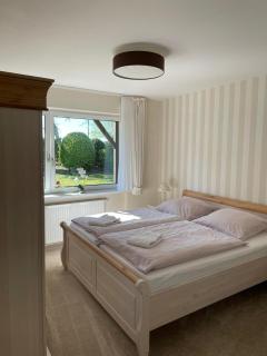 Haus-Seeschwalbe - 5