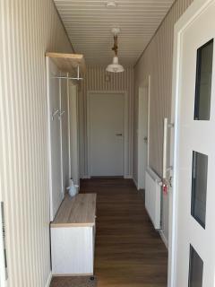 Haus-Seeschwalbe - 1