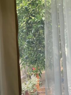 Peculiar Garden Apartment - 8