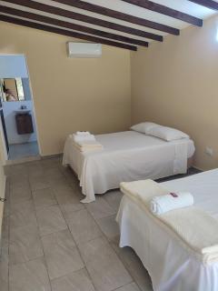 Finca el porvenir cabañas viviendas turísticas - 5