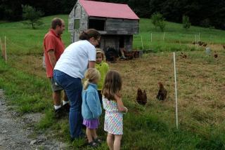 Rustic Vacation Rental on a Beautiful Working Farm in Royalton, Vermont - - 2