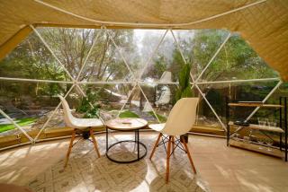 Olive Domes - 8