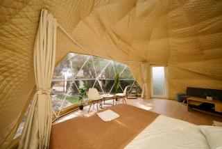 Olive Domes - 9