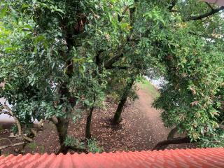 SatyaYam Park Villa - 3