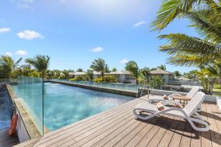 Azuri Soliflore 13 - 8