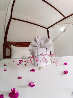 Parrot Bay Watamu - Gatunga - 3