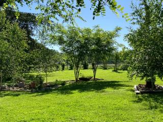 Duplex des Vignes - Montans - Nature - 6