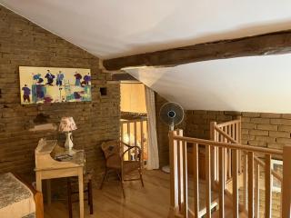 Duplex des Vignes - Montans - Nature - 4