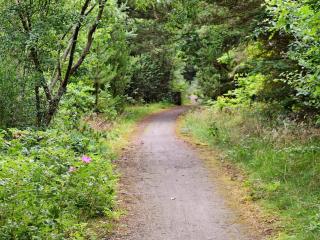 4 star holiday home in Ulfborg - 1