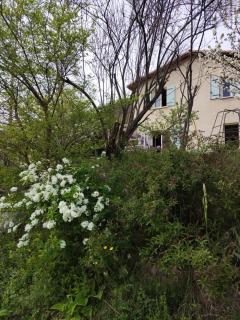 CHAMBRE PRIVEE chez l'HABITANT SALLE d'eau WC Privatifs - 3