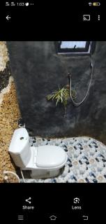 Stone Shack Ella - 3