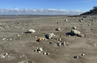 La Cabane du Pêcheur - 7