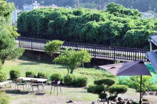 釜炒り茶の宿陽だまりTraditional Japanese house near Kumano Kodo and Nachi Falls with parking bikes garden and onsite tea house - 1