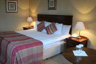 Anner Hotel - Thurles - 4