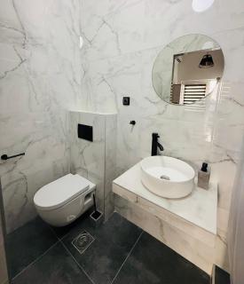 Central Green Apartman Novi Sad - 2