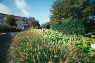 Vakantievilla met zwembad, wellness en glamping in Paal/Beringen - Beringen - 9