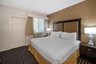 Best Western Plus Palm Court Hotel - 8