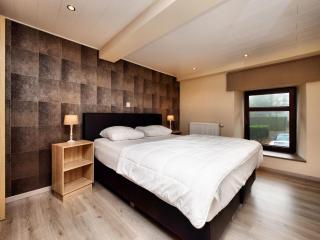 Modern family home with wellness - Samrée - 7
