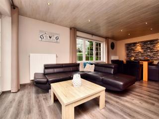 Modern family home with wellness - Samrée - 1