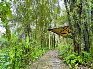 Romantic getaway in nature! - Pacoche - 0