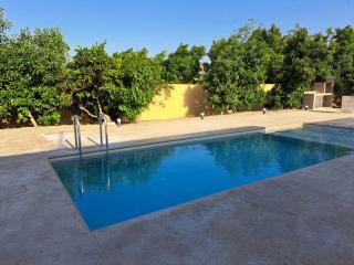 PanStel - Villa Solene with private pool - Ayiá - 7