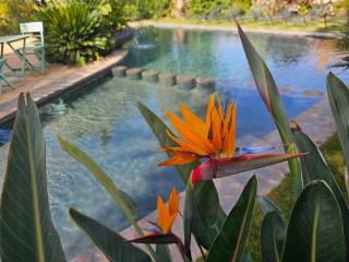 oasis de paix - 2