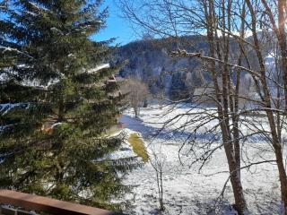 Appartement au calme avec balcon, près des Portes du Soleil - FR-1-692-38 - 1