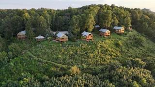 Wildflower Cabin with a private hot tub - Bryant - 0