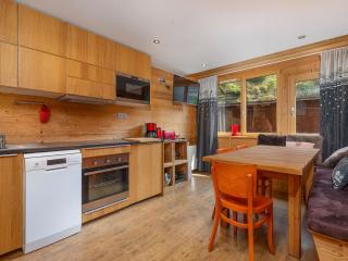 Charmant appartement pour 6 au cœur d'Avoriaz avec WIFI et TV, proche commerces et pistes - FR-1-314-248 - 0