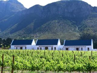 Chambray Estate - The Terraces in the Vines - 5