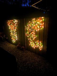 Kaoglen-Blossom-Hot tub-Cairngorms-Pet Friendly - 5