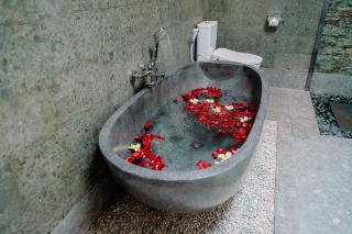 Mang Yoga Ubud Villa - 3