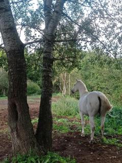 BnB Angelo e Graziella - 6
