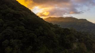 Seven Springs Plantation Resort - 9