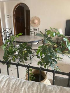 Appartement OCEAN VIEW - 2