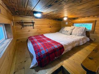 Shiners Shack - 8