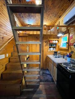Shiners Shack - 6