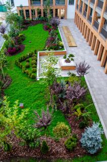 Cuza 16 - Central Premium Apartments - 5