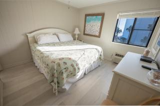 New Place at the Beach III - Low Floor, Views! - Myrtle Beach - 2