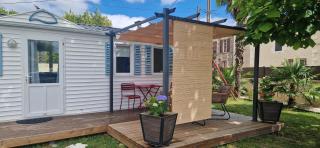 Chez Ando - Saint-Ciers-sur-Gironde - 9