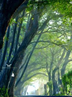 Sainathan Residency - 3