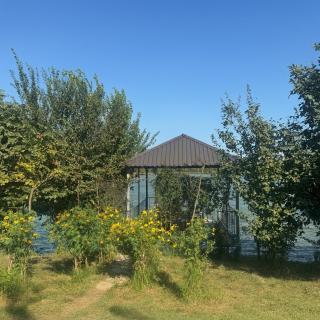 Lankaran Lake Camp - Lankaran - 7
